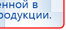 Электроды Скэнар -  двойной овал 55х90 мм купить в Улан-Удэ, Электроды Скэнар купить в Улан-Удэ, Скэнар официальный сайт - denasvertebra.ru